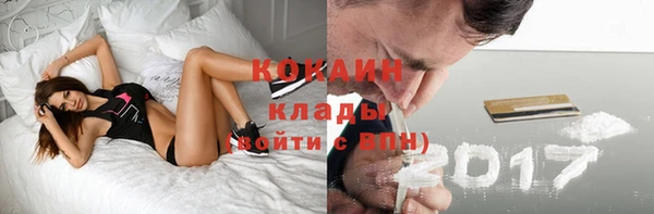 прущие грибы Алексин