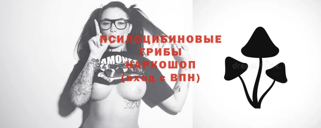 хмурый Алексеевка