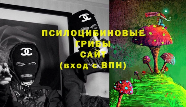 apvp Алзамай